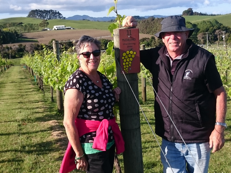 Matavino Vineyard North Auckland - Jill Bowker