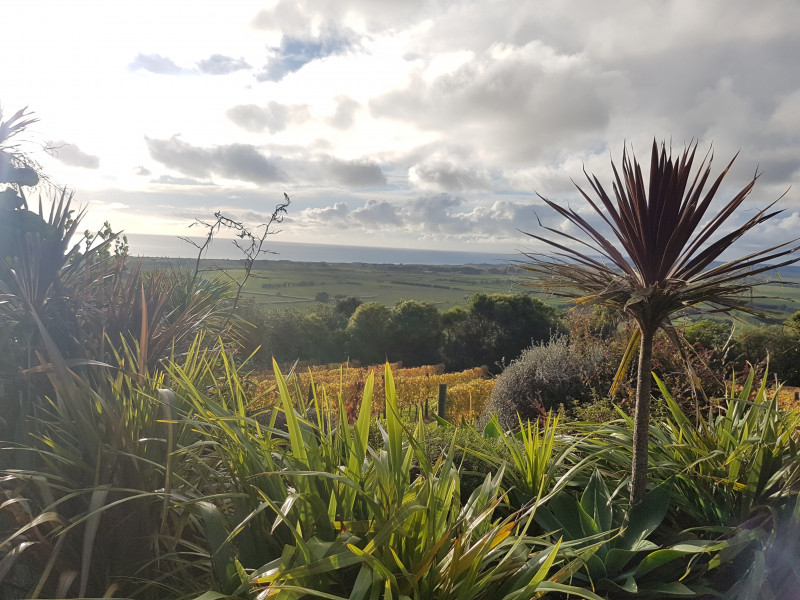 Waitapu Estate, Northland - fantastic views - Leo Bocher