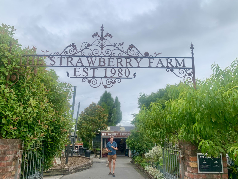 Strawberry Farm - Alan Overson